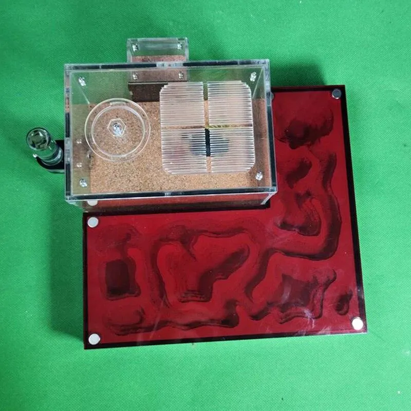 Acrylic Large Ant Farm Ecological Plaster House Workshop
