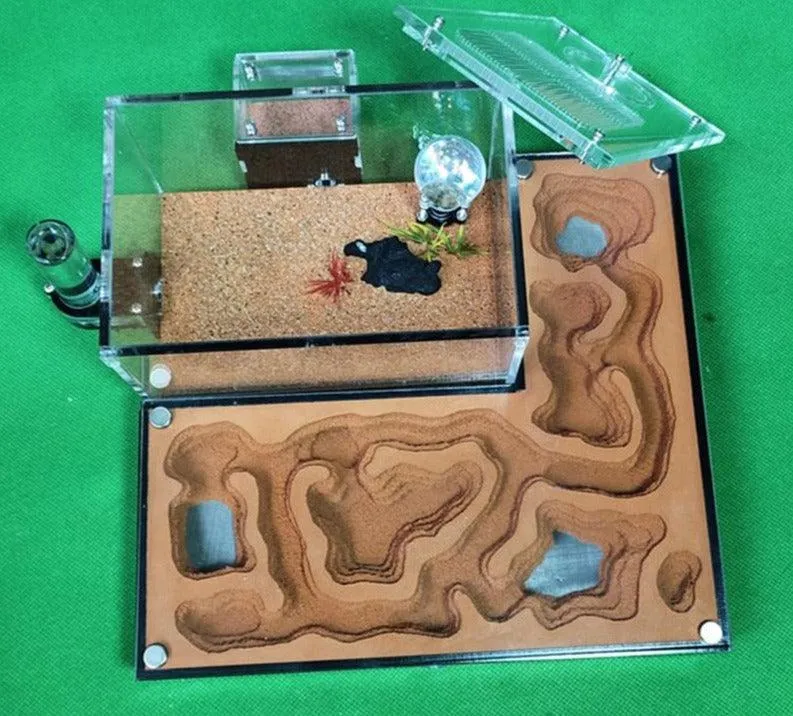Acrylic Large Ant Farm Ecological Plaster House Workshop
