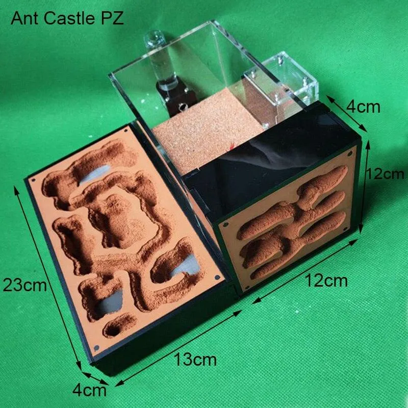 Acrylic Large Ant Farm Ecological Plaster House Workshop