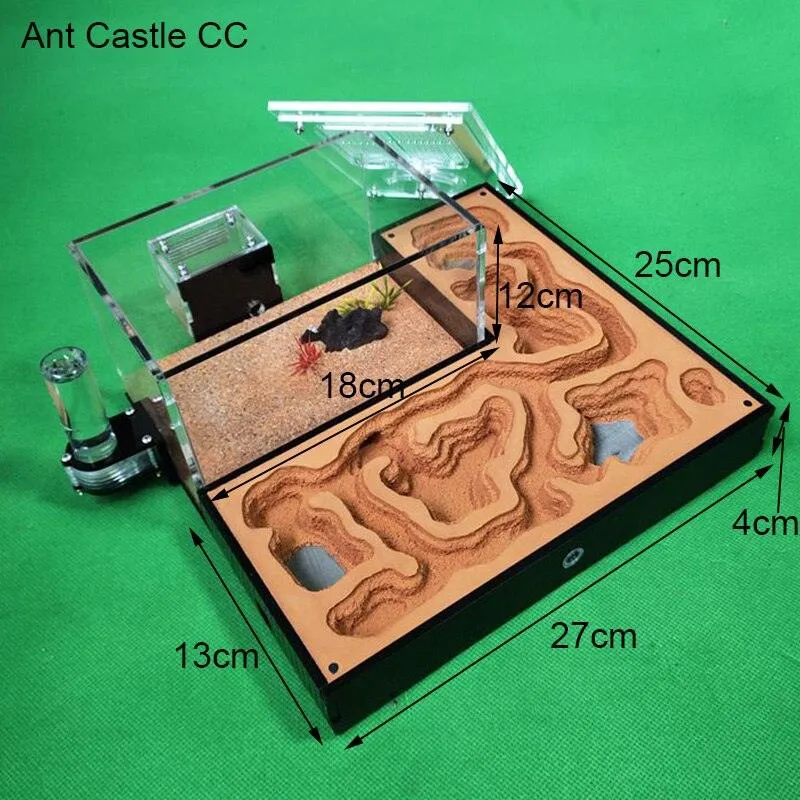 Acrylic Large Ant Farm Ecological Plaster House Workshop