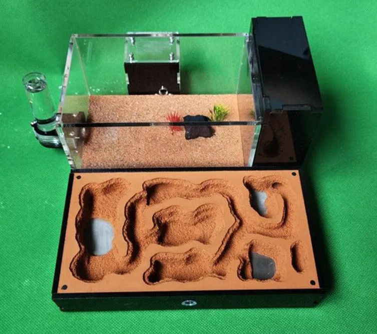 Acrylic Large Ant Farm Ecological Plaster House Workshop