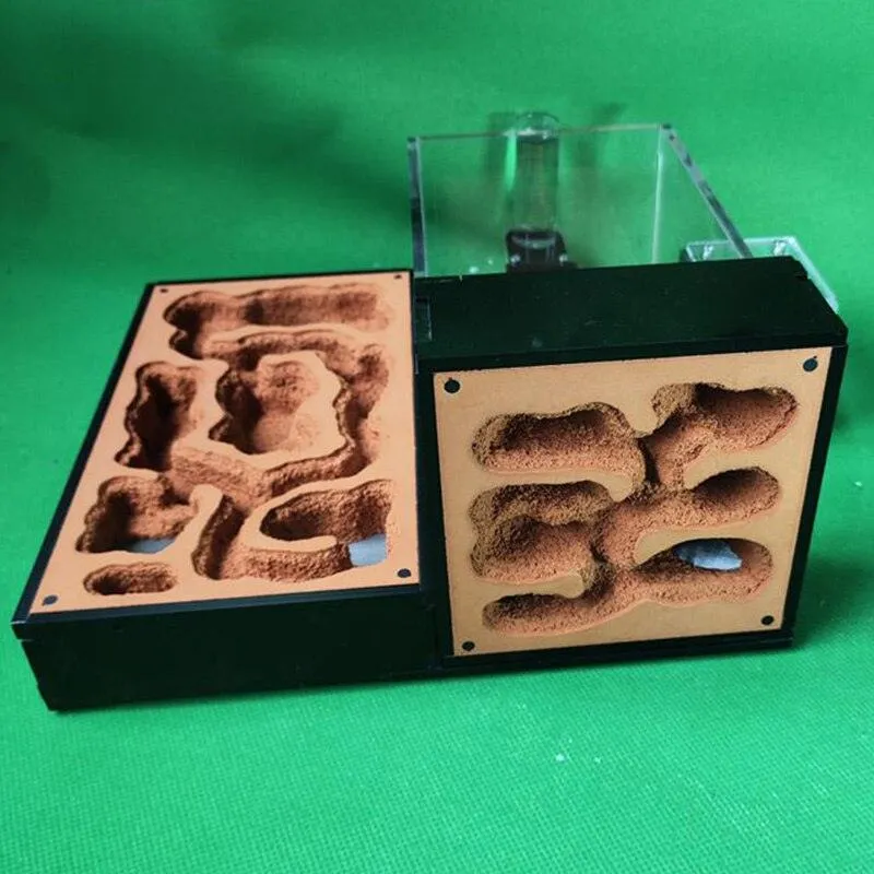 Acrylic Large Ant Farm Ecological Plaster House Workshop