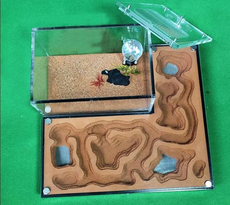 Acrylic Large Ant Farm Ecological Plaster House Workshop