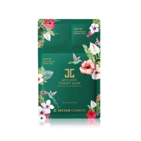 Anti Dust Therapy Mask - 1 Box of 10 Sheets