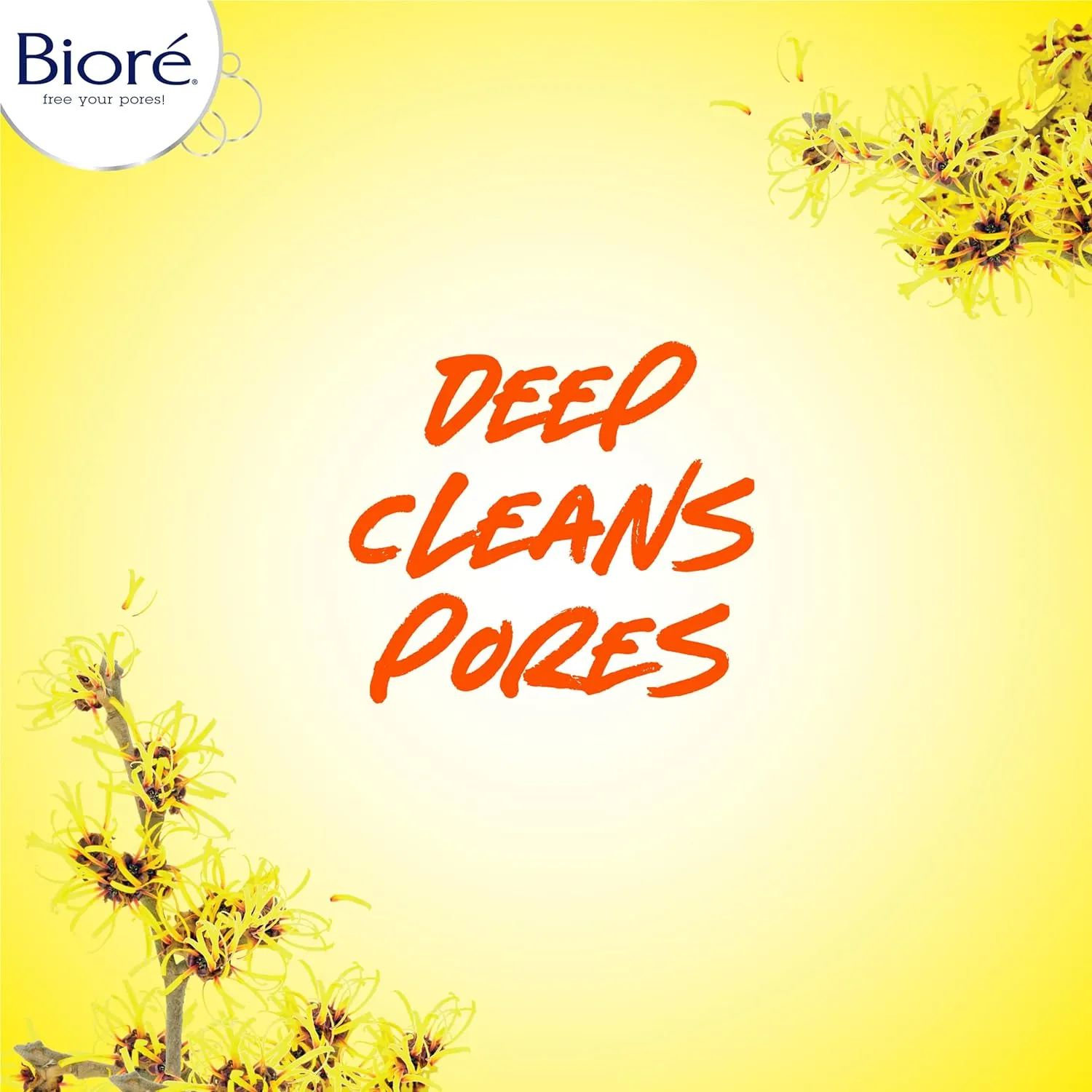 BIORE Free Your Pores Witch Hazel Pore Clarifying Cooling Cleanser Salicylic Acid Acne Treatment