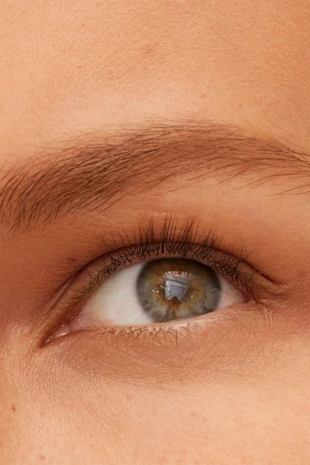 Bonne Brow - Clay