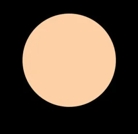 C25 WARM YELLOW CREAM FOUNDATION