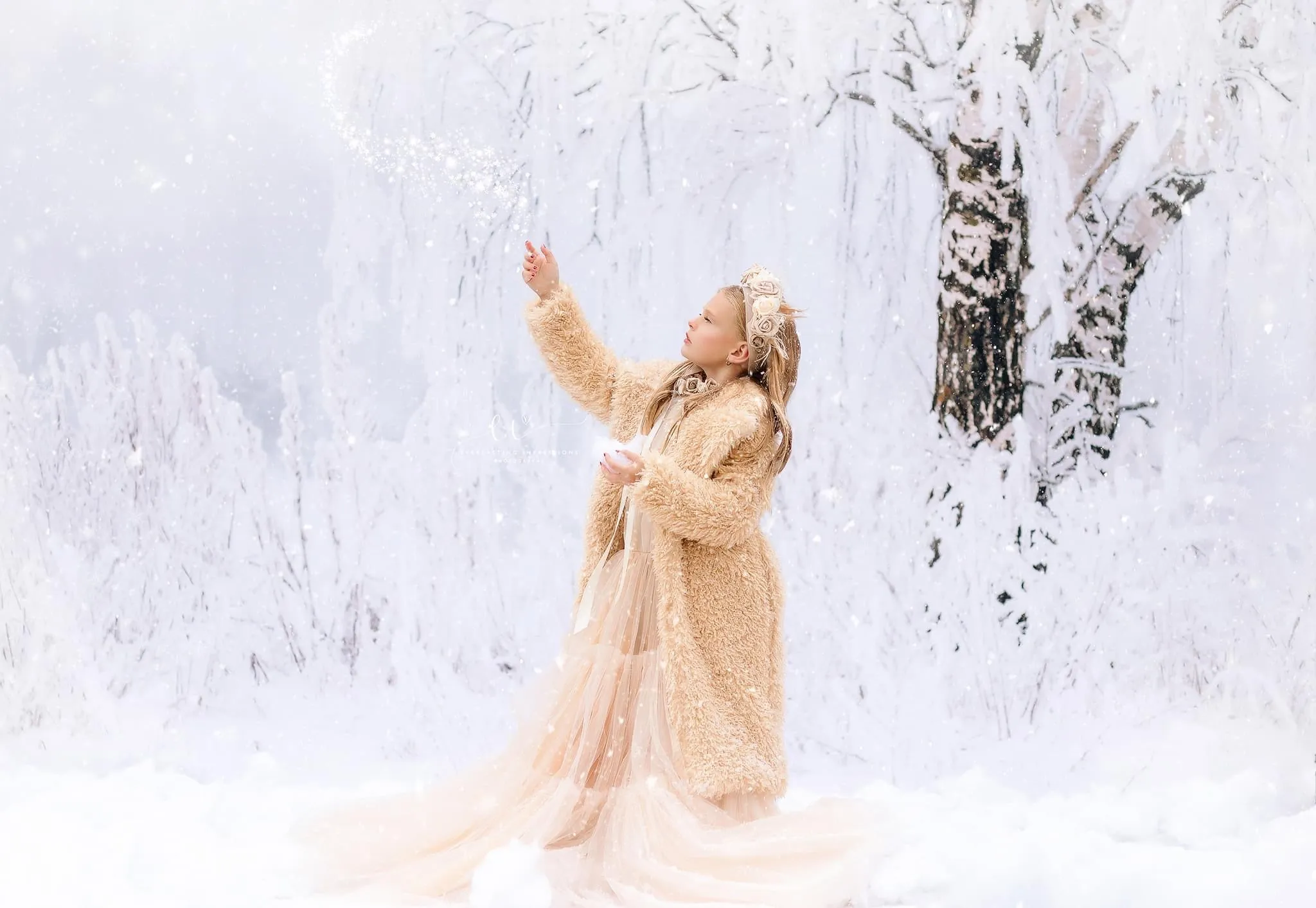 Frosted Fantasy (CC)