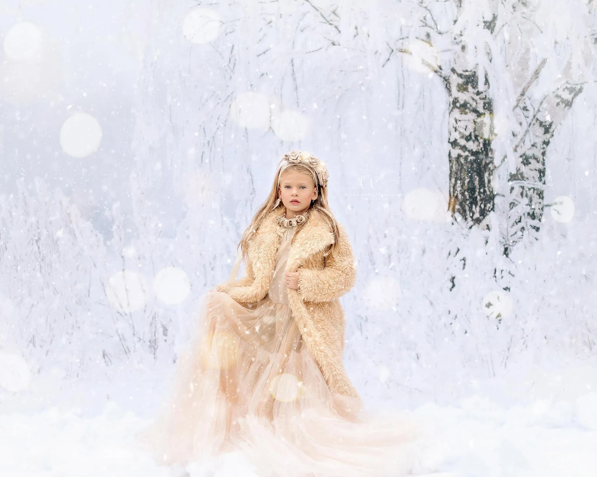 Frosted Fantasy (CC)