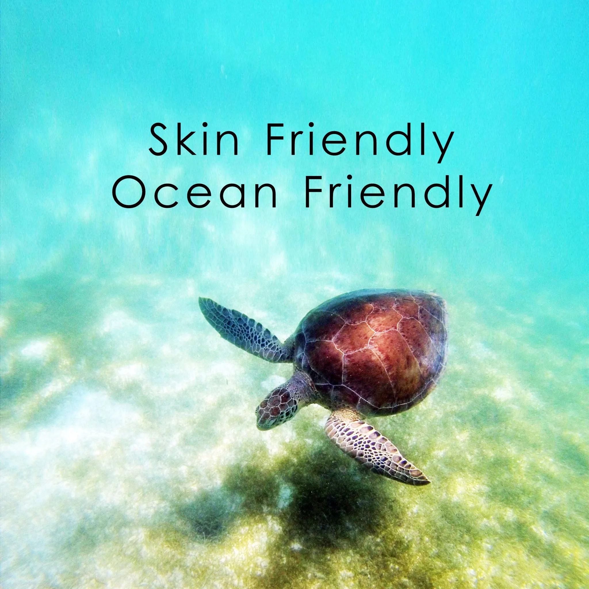 Natural Sunscreen Unscented